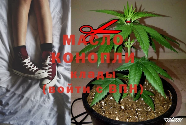 дживик Мегион