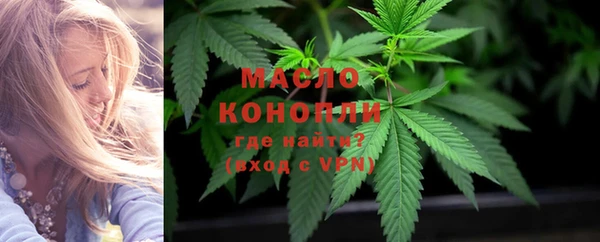 дживик Мегион
