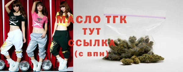 тгк Медногорск