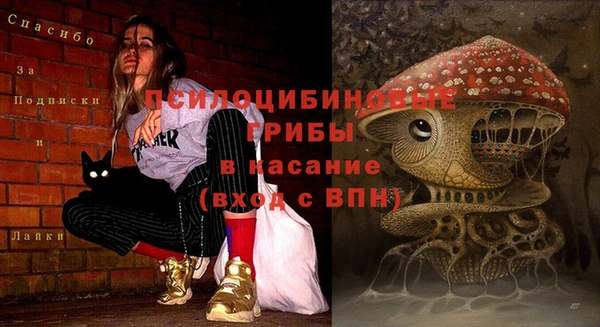 дживик Мегион