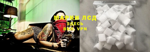 гидра Медвежьегорск