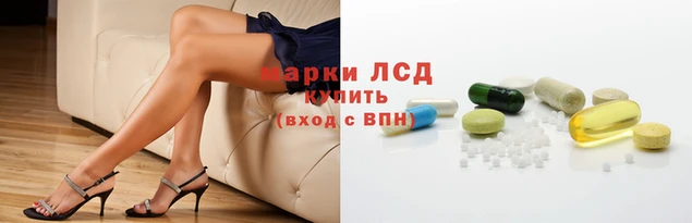 гидра Медвежьегорск