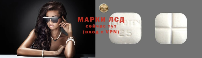 spice Бикин