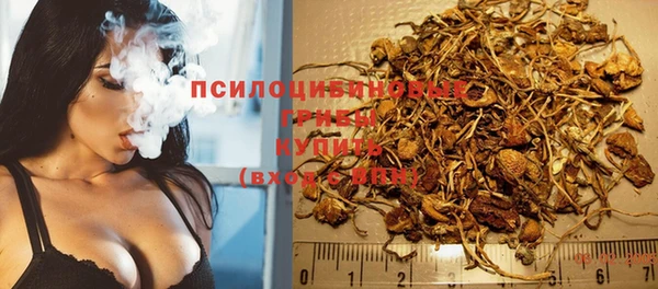 дживик Мегион