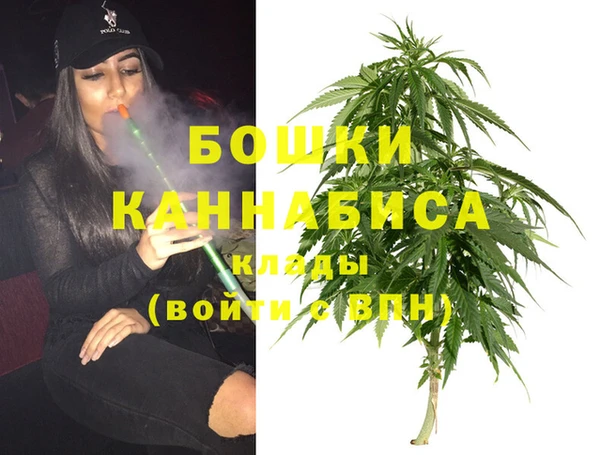 дживик Мегион