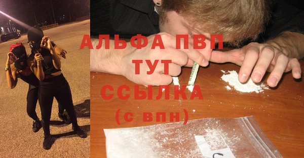 тгк Медногорск