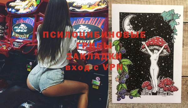 тгк Медногорск