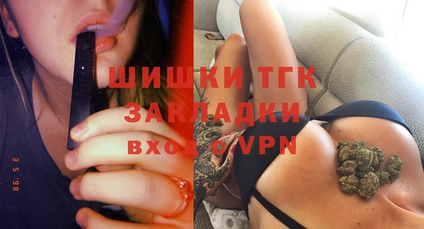 гидра Медвежьегорск