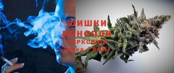 тгк Медногорск