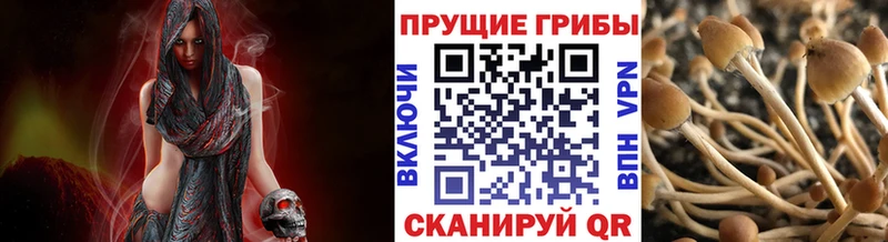 Псилоцибиновые грибы ЛСД  где можно купить наркотик  Поронайск 